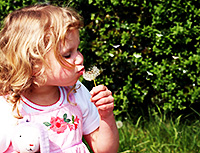 Kind mit Pusteblume | Nach dem Contergan-Skandal und anderen aufsehenerregenden Schädigungen, die noch vor der Geburt entstanden, hat sich das Interesse auch den weniger ins Auge fallenden chronischen Vergiftungen des Embryos während der Schwangerschaft zugewandt. Für viele Umweltgifte gibt es keine Plazentaschranke, die Gifte potenzieren sich in ihrer Wirkung. Kind mit Pusteblume